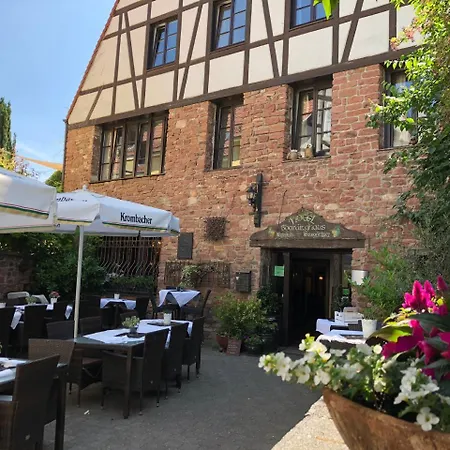 Weingaertner Mannheim