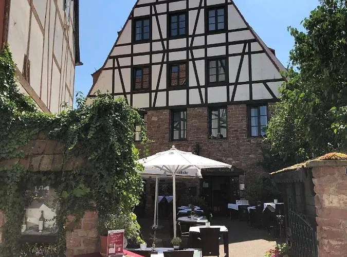 酒店 魏因加特纳酒店 曼海姆